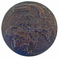 1984. "Budapesti Tavaszi Fesztivál / Utazás '84" kétoldalas, öntött bronz plakett (77...