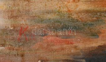 Olvashatatlan jelzéssel: Zazar-pati házak. Olaj, vászon. Hátoldalán román kiviteli bélyegzővel és fe...