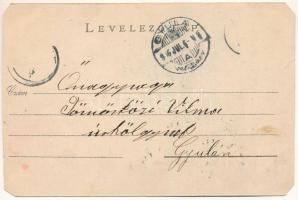 1906 Tenke, Tinca; Gyógyfürdő. Schlesinger Károly kiadása, Deutsch fényképész felvétele / spa, bathh...