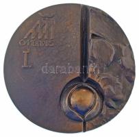 Csíkszentmihályi Róbert (1940-2021) 1985. "OMÉK (Országos Mezőgazdasági és Élelmiszeripari Kiállítás és Vásár Budapest)" bronz emlékplakett (80mm) T:AU