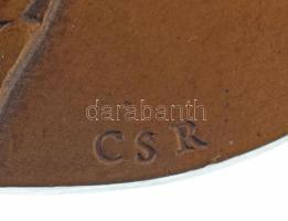 Csíkszentmihályi Róbert (1940-2021) DN "Alakok" egyoldalas, öntött bronz emlékérem (85-86m...