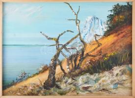 Jálics Gyula (1940-2016): Hegyi út az öböl felé (Brsec, Isztria, Horvátország). Olaj, farost, jelzett. Fakeretben, 50×68 cm.