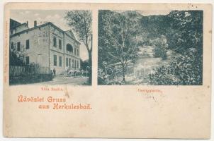 1901 Herkulesfürdő, Baile Herculane; Villa Emilie, Csernapartie / Emilie villa, Cserna partja. Emil Jäger kiadása / villa, Cerna riverside (EK)