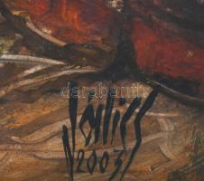 Jálics Gyula (1940-2016): Moscenice (Isztria, Horvátország). Olaj, farost, jelzett. Fakeretben, 68×6...