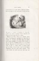 Bernardin de Saint-Pierre, Jacques-Henri: 
Paul et Virginie -- La Chaumiére indienne.
Paris, [1852...