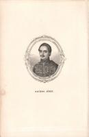 Gyulai Pál:
Katona József és Bánk bánja.
Budapest, 1883. Franklin-Társulat Magyar Irodalmi Intézet...