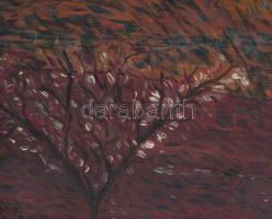Olvashatatlan jelzéssel: Virágzó fák. Olaj, falemez. Dekoratív keretben. 22x39,5 cm