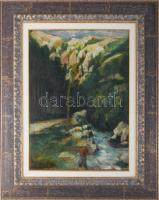 Santrucek Jenő jelzéssel: Vadregényes táj. Olaj, vászon. Dekoratív fakeretben. 56x40 cm.