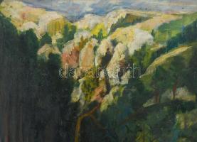 Santrucek Jenő jelzéssel: Vadregényes táj. Olaj, vászon. Dekoratív fakeretben. 56x40 cm