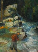 Santrucek Jenő jelzéssel: Vadregényes táj. Olaj, vászon. Dekoratív fakeretben. 56x40 cm