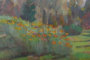 Balla Béla jelzéssel: Táj. Olaj, fa. Dekoratív, kissé kopott fakeretben. 40x50 cm