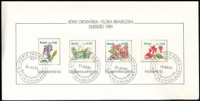 Brazília 1989