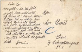 Balatonszemes-fürdő, villa, nyaraló, látkép (Rb)