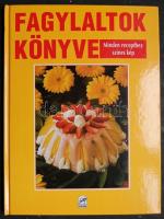 Philips fagylaltgép működőképes + Fagylaltok könyve szakácskönyv színes képekkel