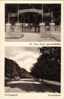 Farkasgyepű, Dr Vass József gyermeküdülő, gesztenyesor. Hangya kiadása (gyűrődés / crease)