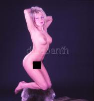 Katona Miklós (1937- ): Művészi aktok, 8 db színes negatív, 6x6 cm