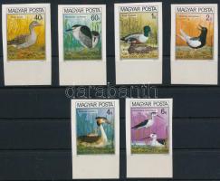 1980 Madarak (IX.) - Védett vízimadarak ívszéli vágott sor (6.000)