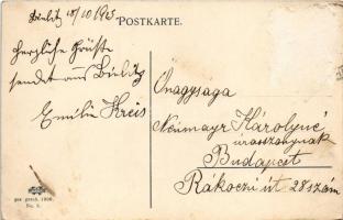 1915 Bielsko-Biala, Bielitz; Kaiser Franz Josefstraße / street view, shops (b)