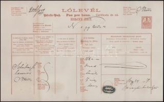 1877 Lólevél, Nagykőrös