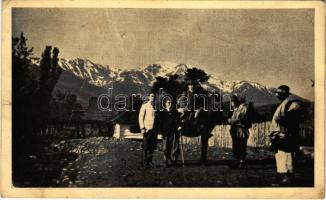 1944 Borsa, Borscha; Horthy Miklós-csúcs Borsa község felől nézve. Szilvási mérnök felvétele / mountain peak (fa)