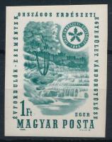 1964 Évfordulók - események Erdészeti Egyesület 1Ft vágott bélyeg