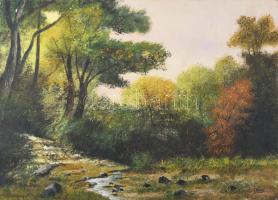 Szücs Károly (1921-): Bakonyi táj. Olaj, farost. Jelzett. Apró felületi sérülésekkel. 36×50 cm