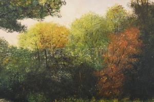 Szücs Károly (1921-): Bakonyi táj. Olaj, farost. Jelzett. Apró felületi sérülésekkel. 36×50 cm