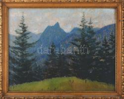 Hatvani Perlusz Gyula (1896-1944): Erdélyi táj, 1940. Pasztell, papír, jelezve jobbra lent, üvegezett fakeretben, 30×40 cm