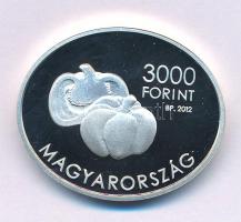 2012. 3000Ft Ag "Szent-Györgyi Albert" kapszulában T:PP Adamo EM254