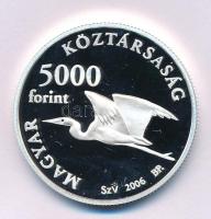 2006. 5000Ft Ag "Fertő kultúrtáj" kapszulában T:PP Adamo EM203