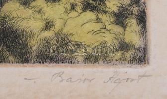 Bajor Ágost (1892-1958): Halászbástya. Színezett rézkarc, papír, jelzett, lap széle kissé foltos, 24...