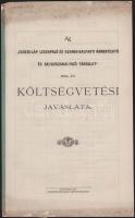 1903 Az Ecsedi-láp Lecsapoló és Szamos-balparti Ármentesítő és Belvízszabályozó Társulat 1904. évi költségvetési javaslata, lapszéli szakadásokkal, 10p
