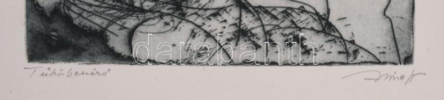 Hincz Gyula (1904-1986): Tükörbenéző. Rézkarc, papír, jelzett, 29×19,5 cm