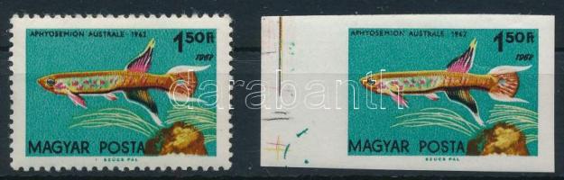 1962 Akváriumi díszhalak 1,50Ft fogazott és vágott bélyeg az 1962 évszám 2 x szerepel (7.300)
