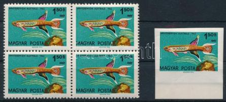 1962 Akváriumi díszhalak 1,50Ft fogazott négysetömb és vágott ívszéli bélyeg az 1962 évszám 2 x szerepel (7.900)