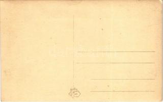 Női vonószenekar és hárfás / female string orchestra and a harpist. photo (EK)