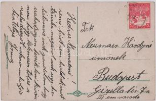 1917 Léva, Levice; Kossuth tér, piac. Schulcz Ignác kiadása / square, market (EK)