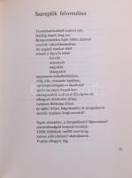 Kemsei István: Feljegyzések a lyukas zoknikorszakból. A szerző, Kemsei István (1944-) József Attila-...