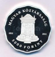 2011. 5000Ft Ag "A Deák téri Evangélikus Templom" kapszulában T:PP Adamo EM240