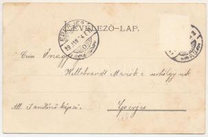 1899 Nagyvárad, Oradea; Múzeum. Helyfi László kiadása / museum, floral, litho (Rb)