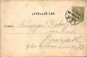 1903 Budapest II. Hűvösvölgy, villamos közúti vasút részlete, híd. Divald Károly 306. sz. (fl)