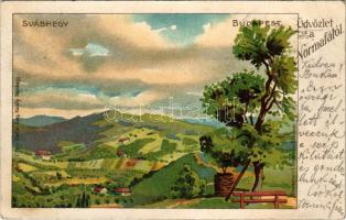 1900 Budapest XII. Svábhegy, Normafa. Athenaeum r.t. kőnyomása. Kiadja Jung Károly. litho (EB)