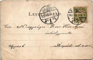 1902 Budapest XII. Széchenyi hegy, látkép.Athenaeum r.t. kőnyomása. Kiadja Jung Károly. litho (EB)