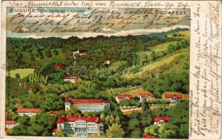 1901 Budapest XII. Zugliget, Fácántelep, Disznófő. Athenaeum r.t. kőnyomása. Kiadja Jung Károly. litho (EK)