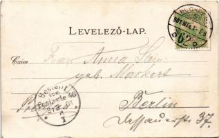 1901 Budapest XII. Zugliget, Fácántelep, Disznófő. Athenaeum r.t. kőnyomása. Kiadja Jung Károly. lit...