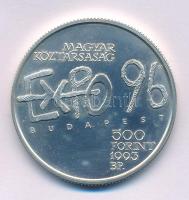 1993. 500Ft Ag "Expo 96" kapszulában T:BU patina Adamo EM131
