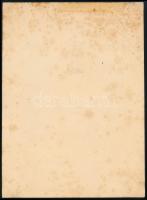 1919.06.12. Magyar tanácsköztársasági arcképek emléklap 2.085-ös sorszámmal