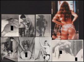 16 db vegyes erotikus fotó, 8x5 cm és 19,5x13,5 cm közötti méretben