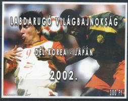 2002/14K Labdarúgó VB karton emlékív