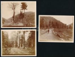 1912 Gyalui-havasok, Erdély, 3 db hátoldalon feliratozott fotó, 9,5×12 cm